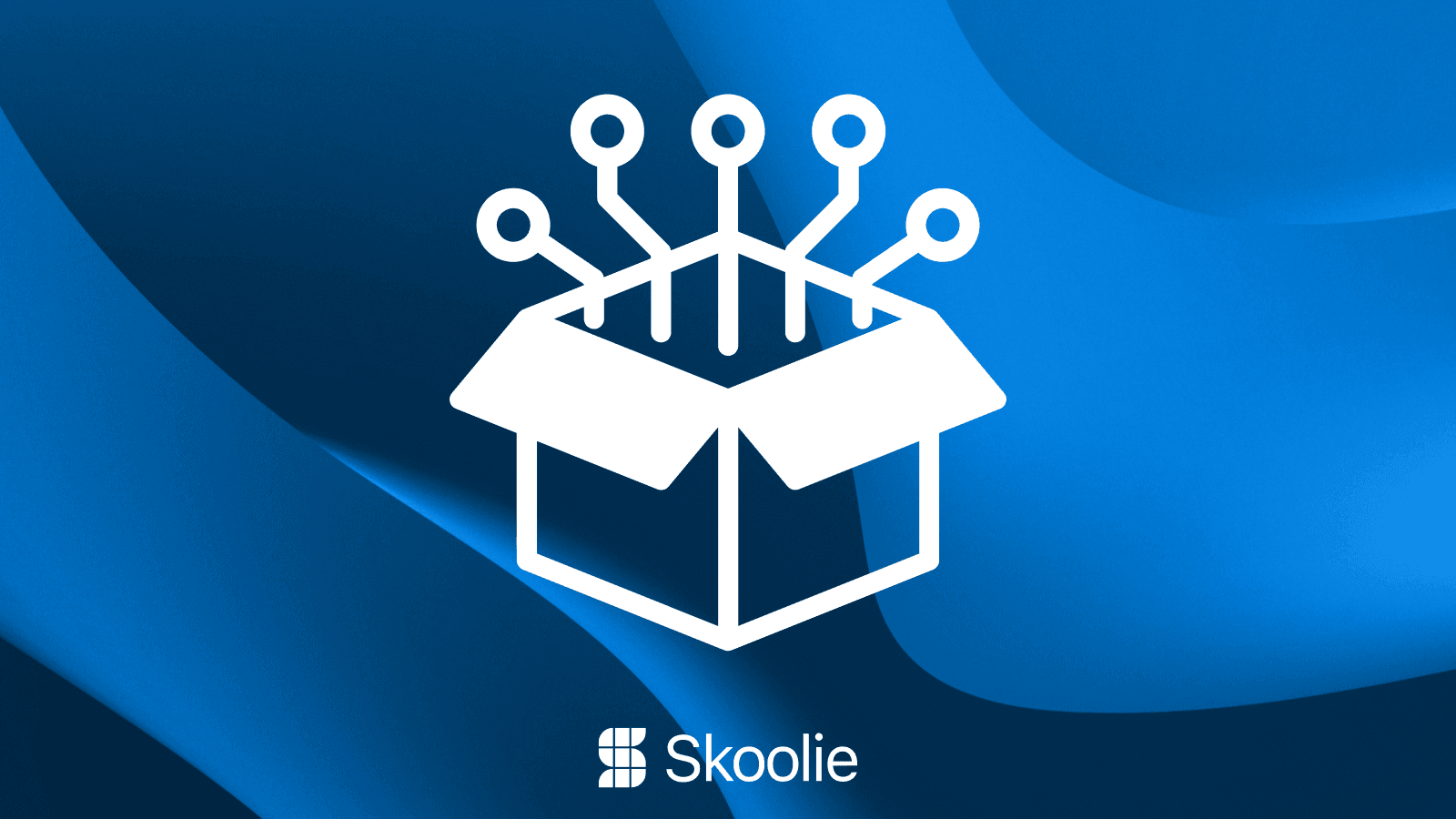 Digitaliseringsstrategi